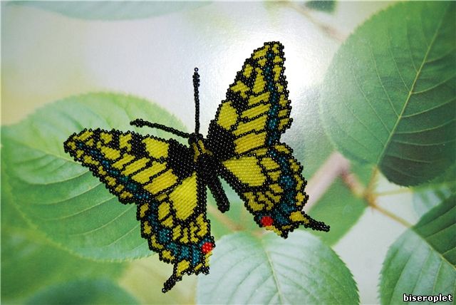 Бабочка Махаон, мозаичное плетение